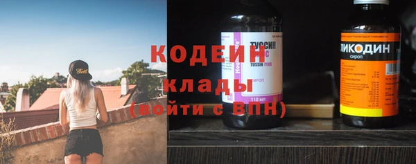 винт Пересвет