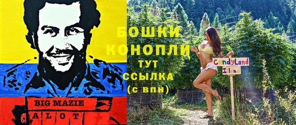 гидра Горячеводский
